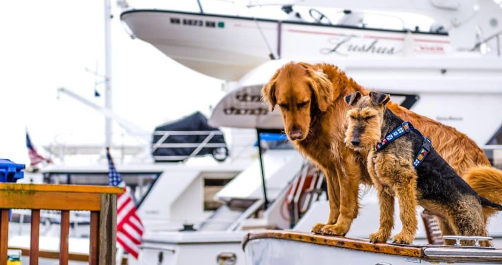 courtoisie en bateau