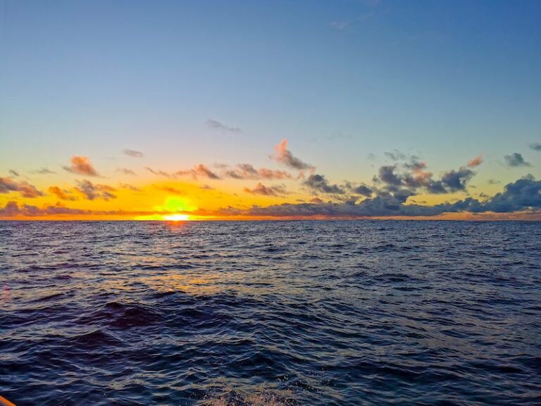 Prince 38 navigation nocturne