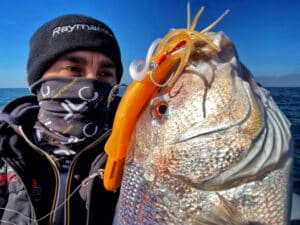 pêche en verticale avec leurres souples