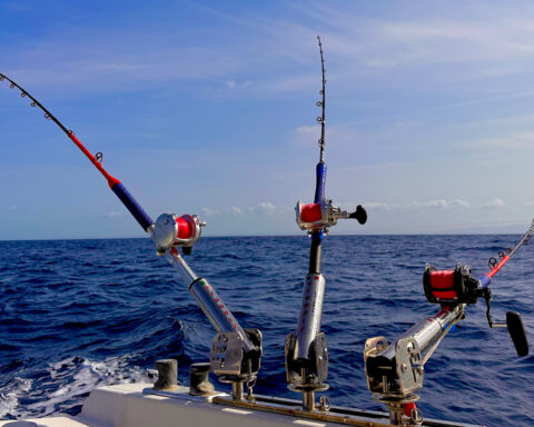 pêche à la traîne hauturière