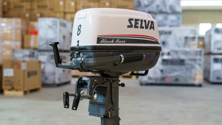 selva black bass 8 essai