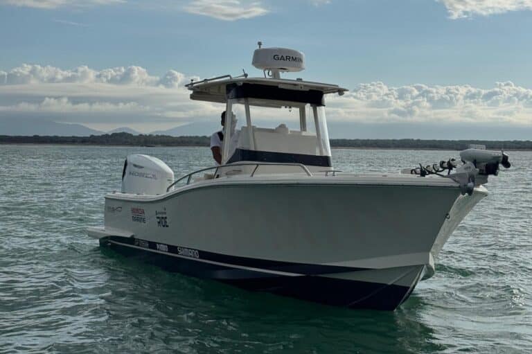 Antonello Salvi photo